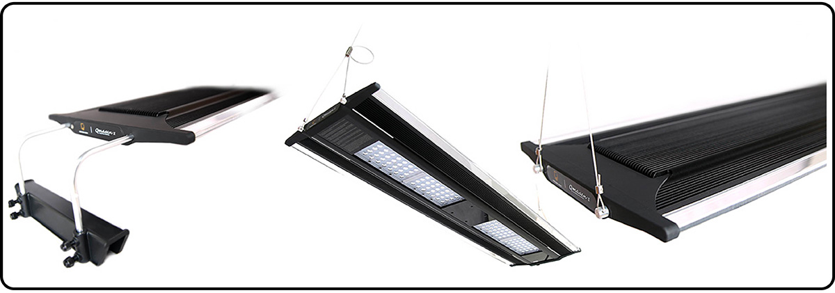 Zetlight Qmaven Q6 uchyceni